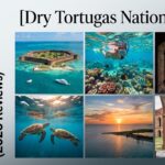 Dry Tortugas National Park - All You SHOULD Know Before Going (2026 Reviews)