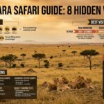 Golden African savanna landscape at Masai Mara with lions resting under acacia trees, featuring infographic sections about wildlife, seasons, accommodations, and safari tips for a complete Masai Mara guide