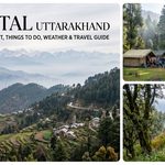 Kanatal Uttarakhand: Best Places to Visit, Things to Do, Weather and Travel Guide